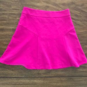NWOT Express High Waist A-Line Skirt